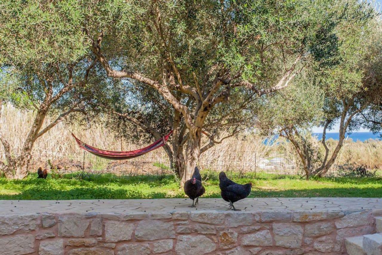 Olive Tree Farm 200M From The Beach Эпископи Экстерьер фото
