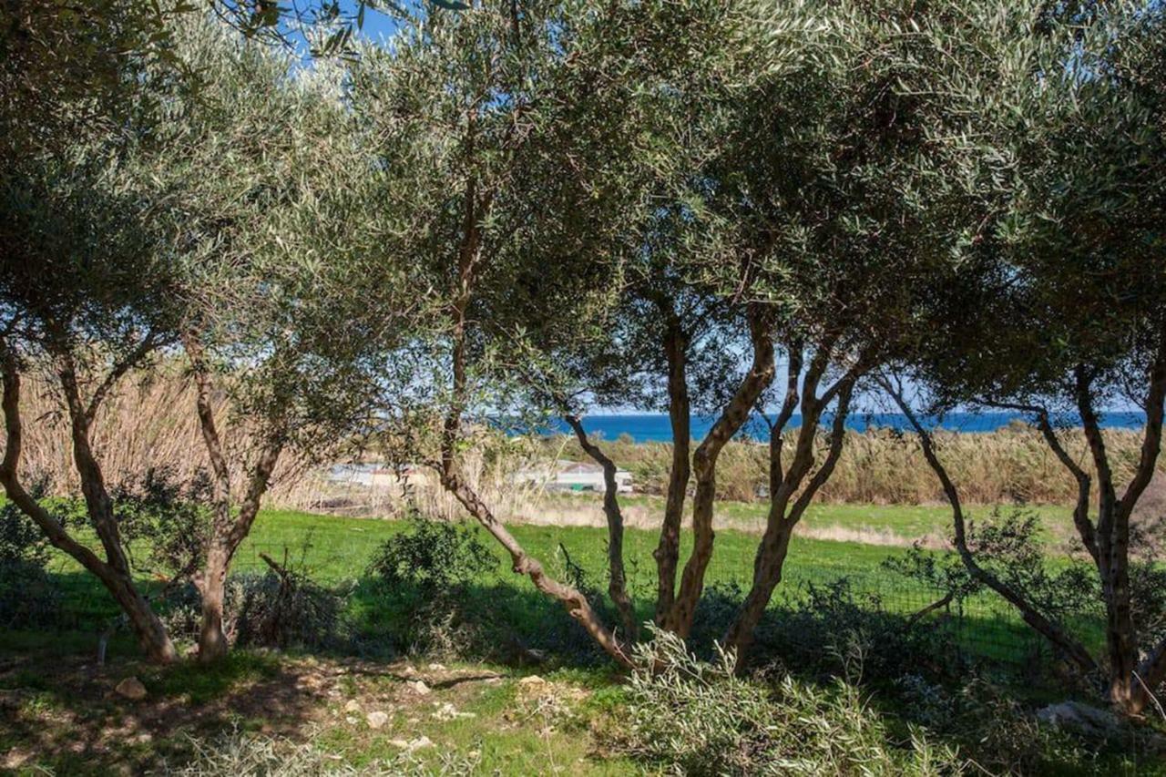 Olive Tree Farm 200M From The Beach Эпископи Экстерьер фото