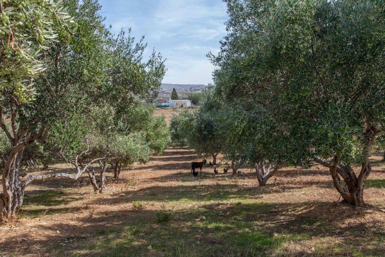 Olive Tree Farm 200M From The Beach Эпископи Экстерьер фото