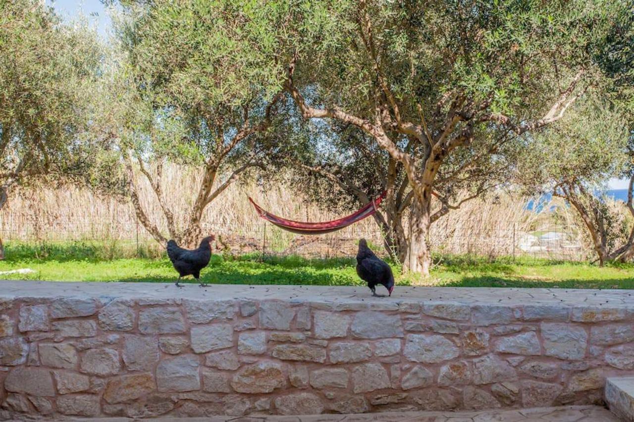 Olive Tree Farm 200M From The Beach Эпископи Экстерьер фото